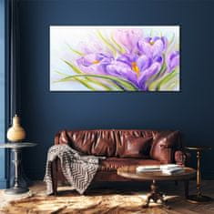 COLORAY.SK Skleneny obraz Kvety rastlín divokej zveri 120x60 cm