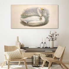 COLORAY.SK Skleneny obraz Vtáky béžová zvieratá 120x60 cm