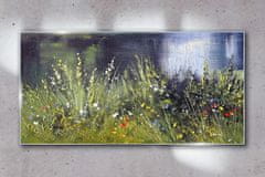 COLORAY.SK Skleneny obraz Rieka kvety tráva 100x50 cm