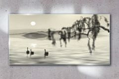 COLORAY.SK Skleneny obraz Jazero strom zvieracie vták 120x60 cm