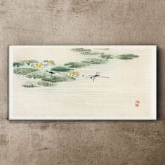 COLORAY.SK Obraz Canvas Vodné listy hmyzu 140x70 cm