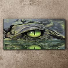COLORAY.SK Obraz canvas Zvieracie krokodílej očné voda 120x60 cm