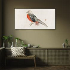COLORAY.SK Sklenený obraz Moderné zvieracie vták 100x50 cm