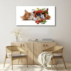 COLORAY.SK Obraz canvas Obrázok sklenené zvieratá mačka potkania ovocie 120x60 cm