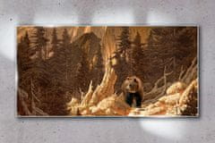 COLORAY.SK Skleneny obraz Lesné medveď hôr divokej zveri 140x70 cm