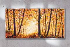 COLORAY.SK Skleneny obraz Jesenné lesné lístie 100x50 cm