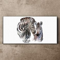 COLORAY.SK Obraz Canvas Zebra Animal Strips 120x60 cm