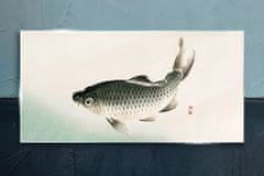 COLORAY.SK Sklenený obraz Rybie zvieratá 100x50 cm