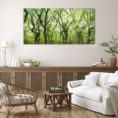 COLORAY.SK Skleneny obraz Abstrakcie lesa 140x70 cm