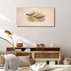 COLORAY.SK Obraz Canvas Vtáky béžová zvieratá 140x70 cm