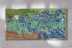 COLORAY.SK Skleneny obraz Van gogh dúhovky 120x60 cm