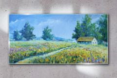 COLORAY.SK Skleneny obraz Krajina krajina kvety chata 140x70 cm