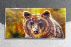 COLORAY.SK Skleneny obraz Medveď 120x60 cm