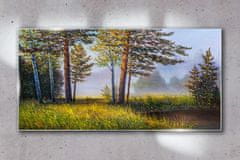 COLORAY.SK Skleneny obraz Lesné trávy kvety 100x50 cm