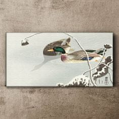 COLORAY.SK Obraz Canvas Zvieratá Vtáčia voda 100x50 cm
