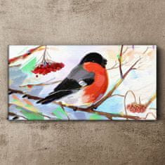 COLORAY.SK Obraz canvas Abstrakcie Bowan Bird 120x60 cm