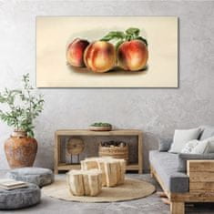COLORAY.SK Obraz na plátne Broskyňové ovocné listy 140x70 cm