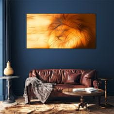 COLORAY.SK Skleneny obraz Abstraktné zvieracie mačka leva 120x60 cm