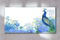 COLORAY.SK Skleneny obraz Kvety vták peacock 120x60 cm