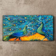 COLORAY.SK Obraz canvas Zvieratá vtáky Peacock 120x60 cm
