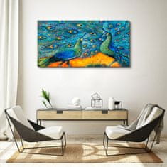 COLORAY.SK Obraz canvas Zvieratá vtáky Peacock 120x60 cm