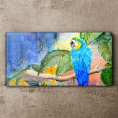 COLORAY.SK Obraz canvas Opustí zvieracie papagáj 120x60 cm