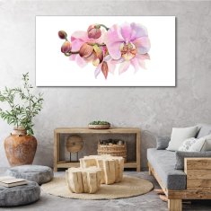 COLORAY.SK Obraz Canvas Akvarel orchidea kvetina 140x70 cm