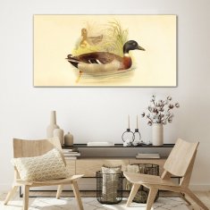 COLORAY.SK Skleneny obraz Abstrakcie zvierat 120x60 cm