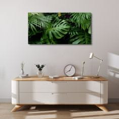 COLORAY.SK Obraz Canvas Tropickej džungle listy 100x50 cm