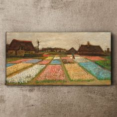 COLORAY.SK Obraz canvas Žiarovkové pole van Gogh 100x50 cm