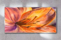 COLORAY.SK Skleneny obraz Abstrakcie kvety príroda 100x50 cm