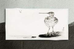 COLORAY.SK Skleneny obraz Kreslenie zvierat vták 140x70 cm