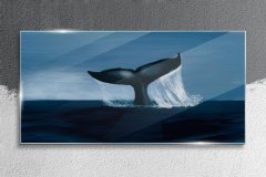 COLORAY.SK Skleneny obraz Veľryba zvierat mora 120x60 cm