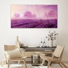 COLORAY.SK Skleneny obraz Umenie abstrakcie kvety 120x60 cm