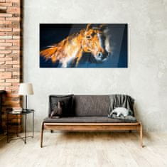COLORAY.SK Skleneny obraz Abstraktné zvieracie kone 100x50 cm