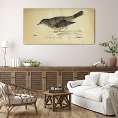 COLORAY.SK Skleneny obraz Ptačírací kreslenie 140x70 cm