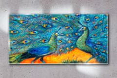 COLORAY.SK Skleneny obraz Zvieratá vtáky peacock 120x60 cm