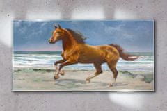 COLORAY.SK Skleneny obraz Pláž pobrežie kone mora vlny 140x70 cm