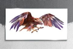 COLORAY.SK Skleneny obraz Zvieracie vták eagle 100x50 cm