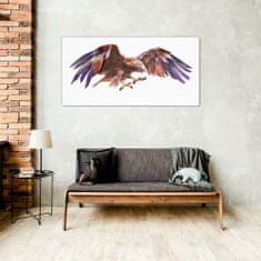 COLORAY.SK Skleneny obraz Zvieracie vták eagle 100x50 cm