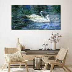COLORAY.SK Skleneny obraz Jazero vtákov labute vody 120x60 cm