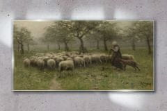 COLORAY.SK Skleneny obraz Rustikálne strom ovce 100x50 cm