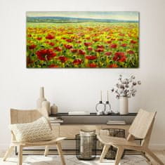 COLORAY.SK Skleneny obraz Maľovanie kvety lúka maki 120x60 cm