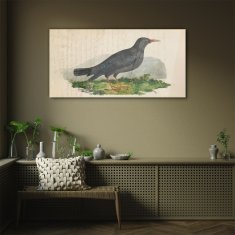 COLORAY.SK Skleneny obraz Zvieratá vtákov 100x50 cm