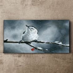 COLORAY.SK Obraz canvas Zvieracie vták snehová zima 100x50 cm