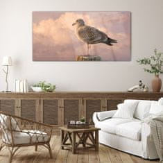 COLORAY.SK Skleneny obraz Zvieracie vták seagull nebo 140x70 cm