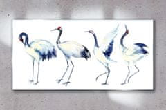 COLORAY.SK Skleneny obraz Abstrakcie zvierat vtákov 100x50 cm