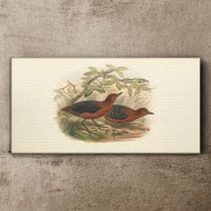 COLORAY.SK Obraz Canvas zvieratá vtákov 140x70 cm