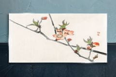COLORAY.SK Sklenený obraz Vetvy prírodných kvetov 100x50 cm