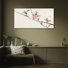 COLORAY.SK Sklenený obraz Vetvy prírodných kvetov 100x50 cm
